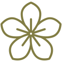 flower-1769196052.png